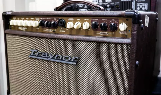 Traynor - AM Standard 2-Channel Stereo Acoustic Guitar Amp - 150 Watts 2